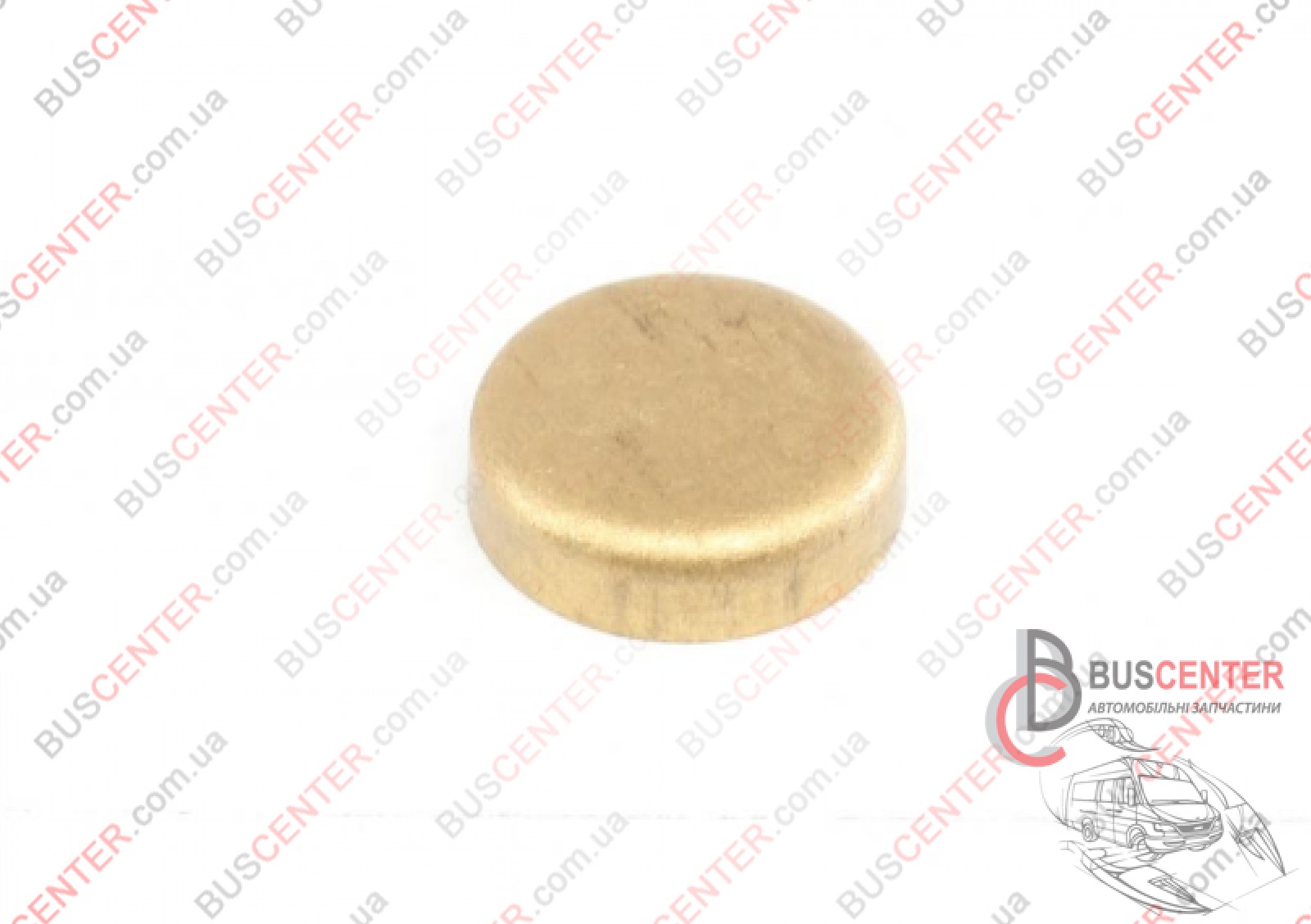 Фотография запчасти Заглушка двигателя D20 (Латунь/Brass)